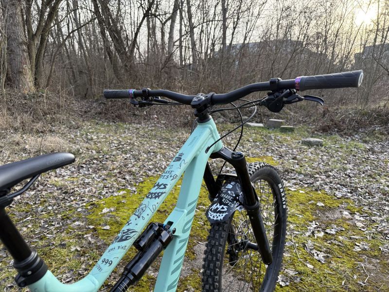 Canyon Torque Mullet AL 5