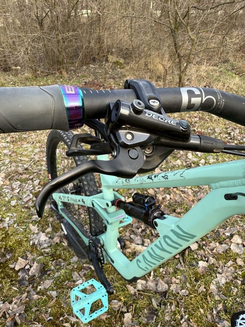 Canyon Torque Mullet AL 5