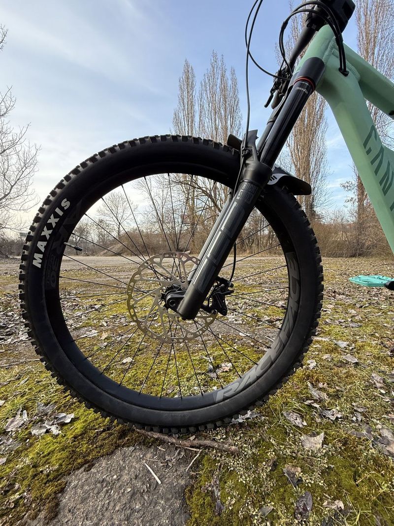 Canyon Torque Mullet AL 5