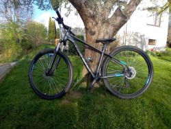 Kellys spider 70 (2021)