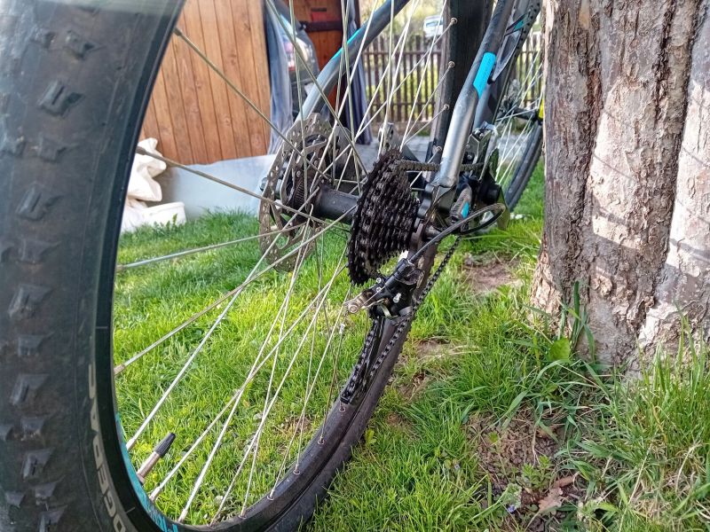 Kellys spider 70 (2021)