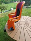 Thule RideAlong
