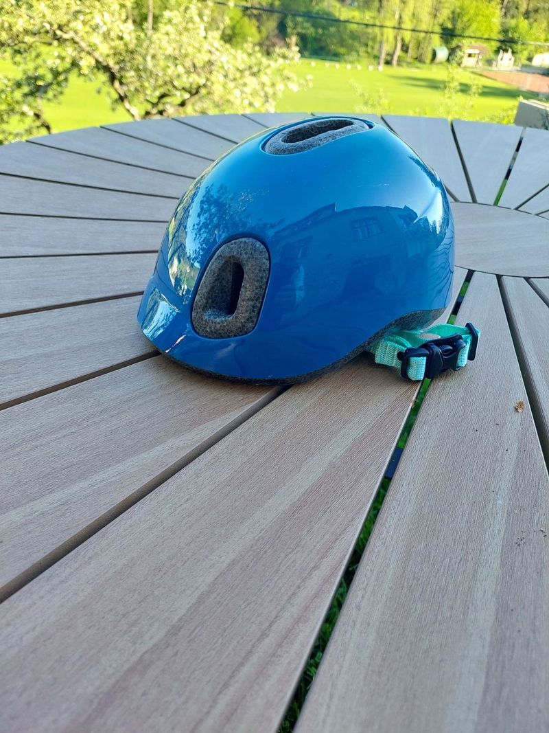 Thule RideAlong