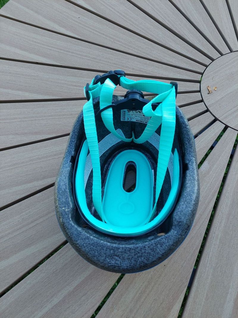 Thule RideAlong