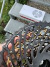 Sram GX/XX1 Eagle AXS