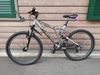Horské kolo Specialized Stumpjumper M4 stříbrná