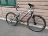 Horské kolo Specialized Stumpjumper M4 stříbrná