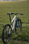 Specialized S-works epic Evo custom