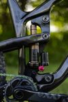 Propain Tyee CF High End 29 