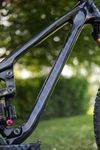 Propain Tyee CF High End 29 