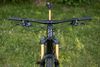 Propain Tyee CF High End 29 