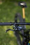 Propain Tyee CF High End 29 