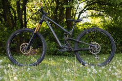 Propain Tyee CF High End 29 