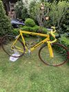 Merida extreme 907