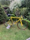Merida extreme 907
