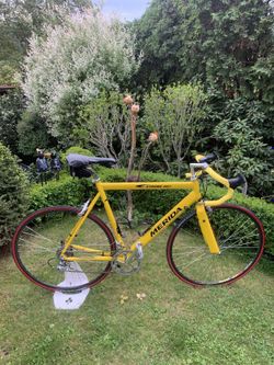 Merida extreme 907