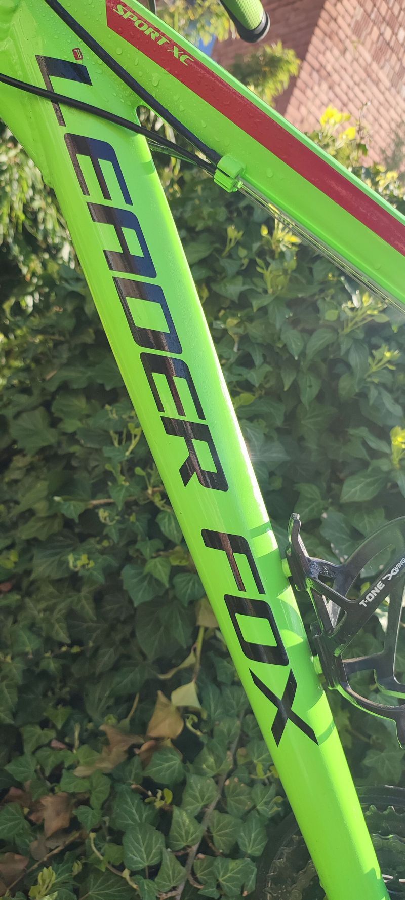 Leader Fox "26"