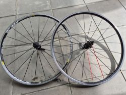 Kola Mavic Crossride 26"
