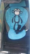 Croozer for 1 Kids 