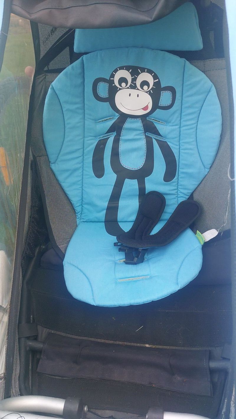 Croozer for 1 Kids 