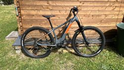 Cube Reaction 29" Bosch Performance Line CX 500W 