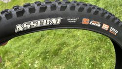2x Maxxis 29x2,60
