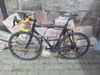 De rosa neo pro