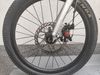 Early Rider Belter 20"