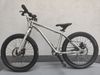 Early Rider Belter 20"