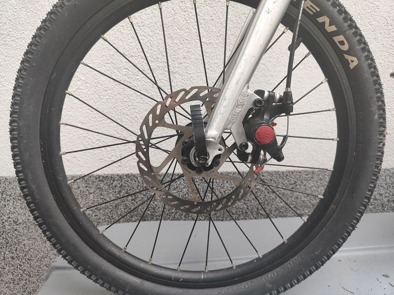 Early Rider Belter 20"