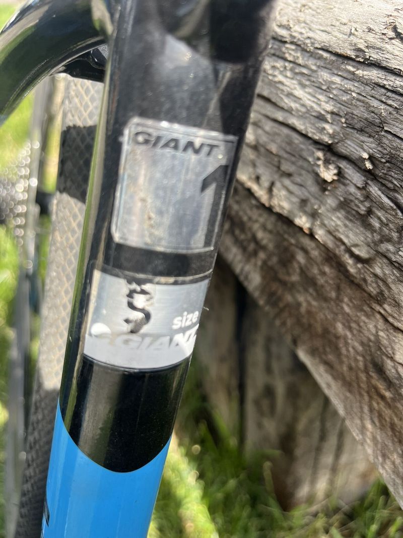 Giant Road E+