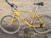 Prodám Bianchi Engineered