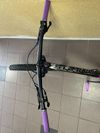Dartmoor Primal vel. XL