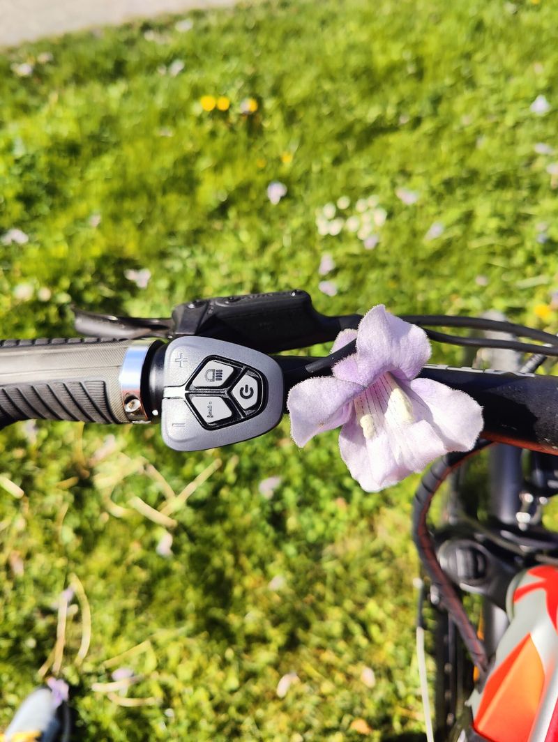 Dámské krosové elektrokolo MTF Road 7.0, kola 29" 