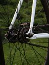 Prodám FIXIE/SINGLESPEED kolo TRIBE 