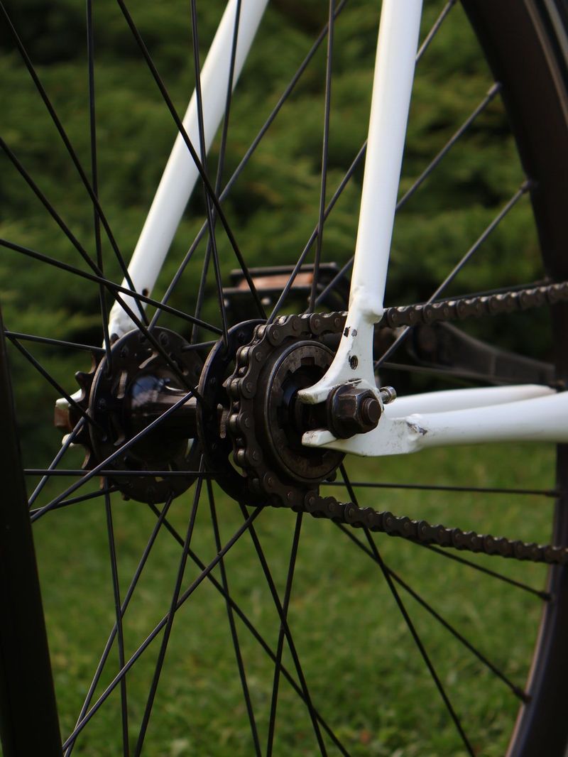Prodám FIXIE/SINGLESPEED kolo TRIBE 