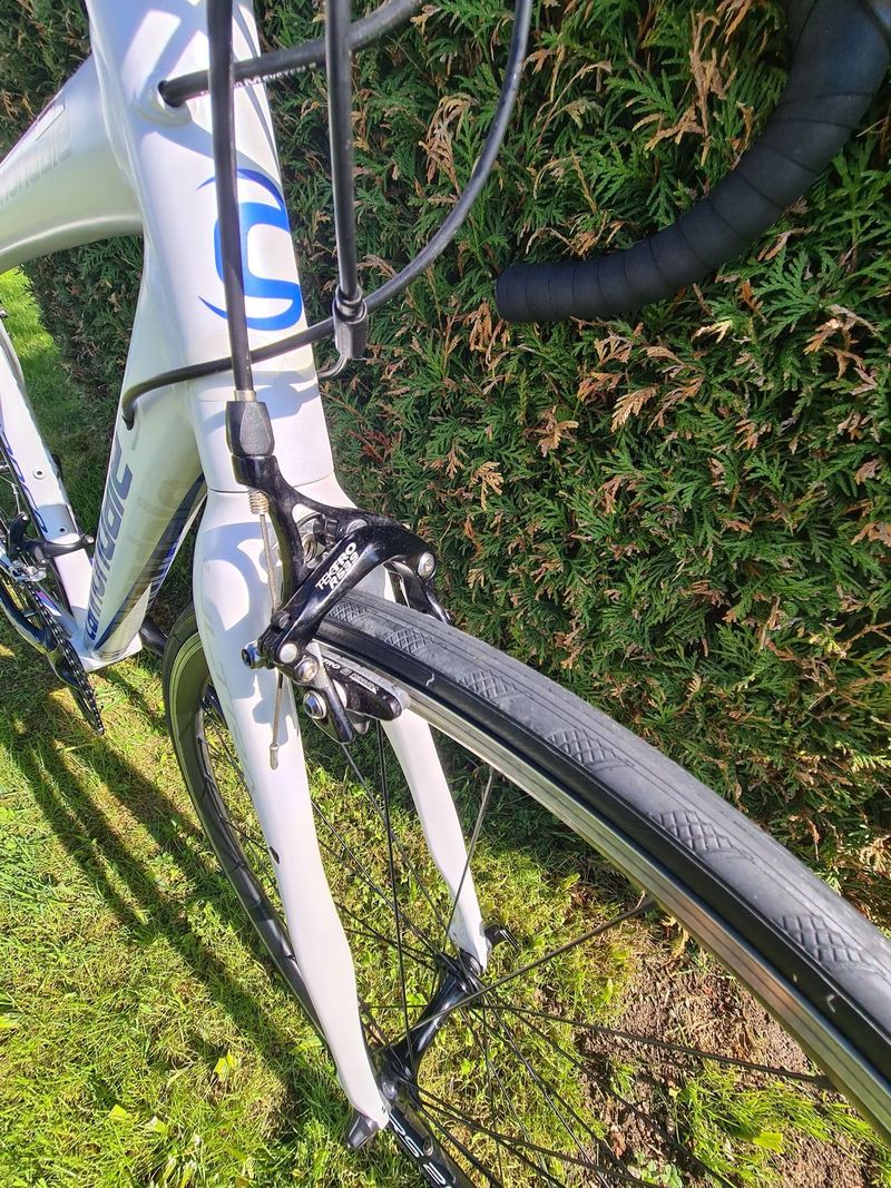 Dámská silnička Cannondale Synapse