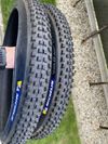 2x Michelin Wild AM2 29x2.4