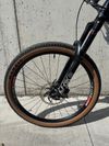 Canyon Strive CF 2021
