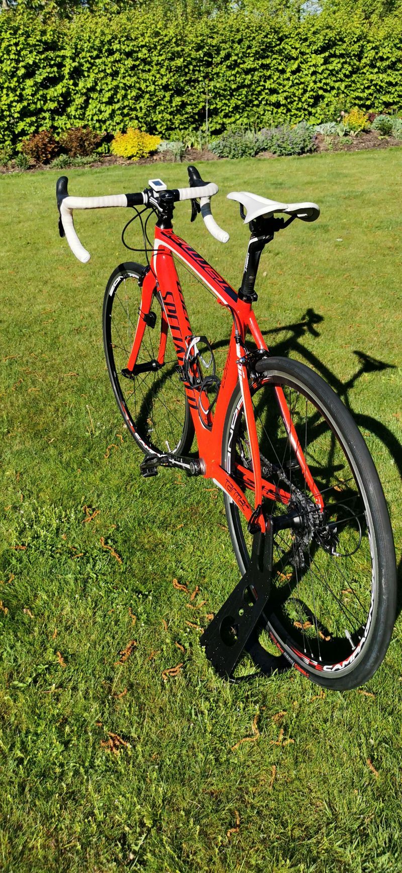 Specialized Tarmac Comp