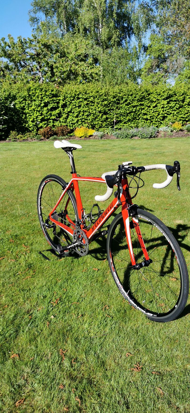 Specialized Tarmac Comp