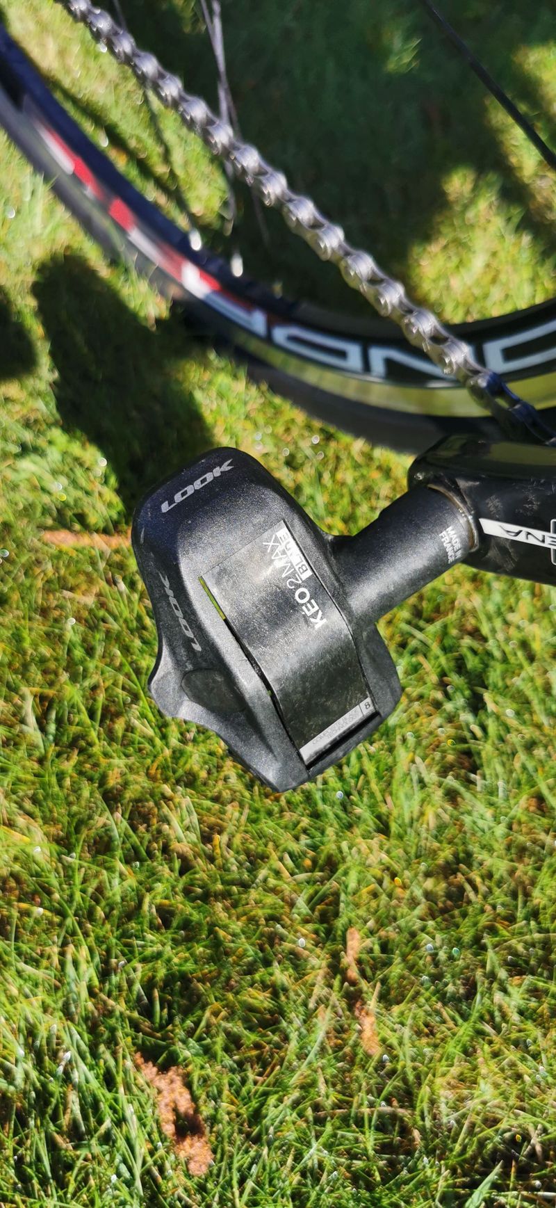Specialized Tarmac Comp