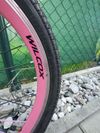 Wilcox Tourer 26-20"