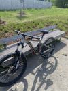 Vitus dominer