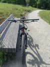 Vitus dominer