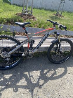 Vitus dominer