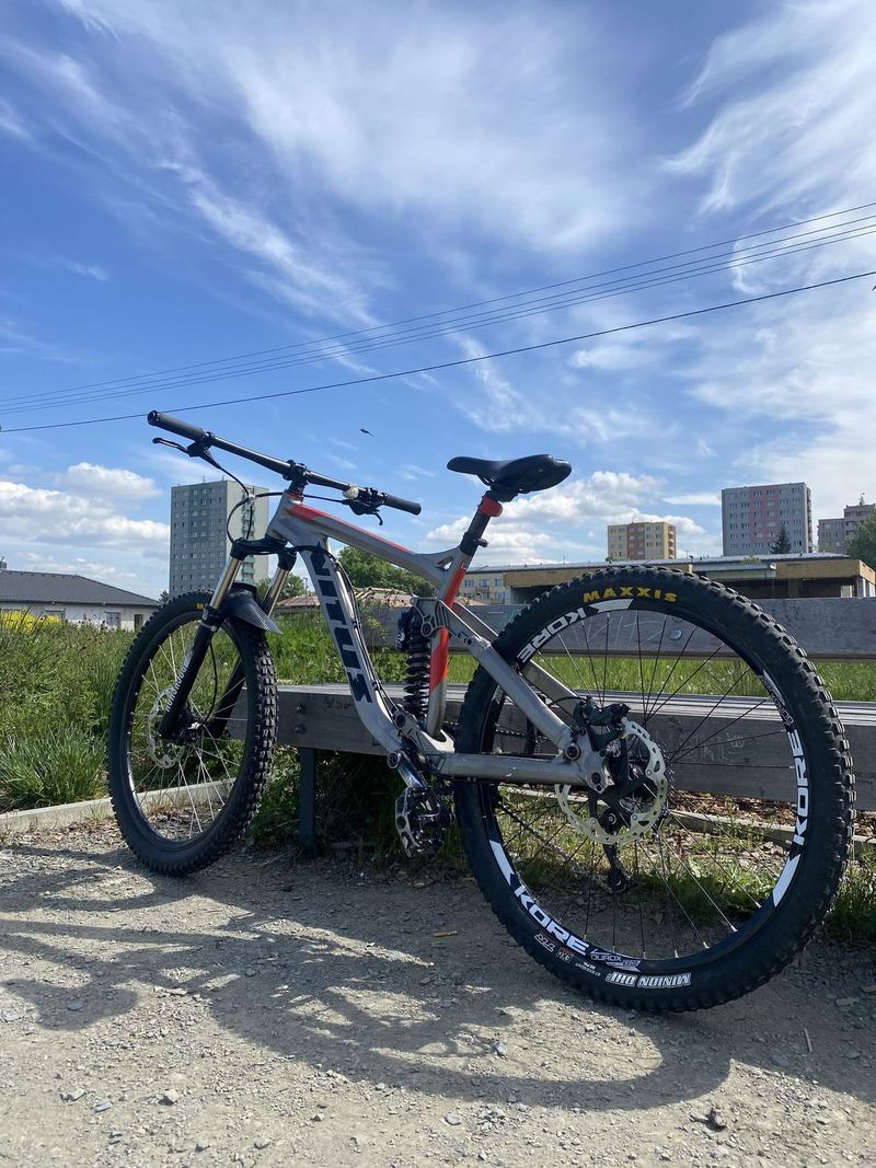 Vitus dominer