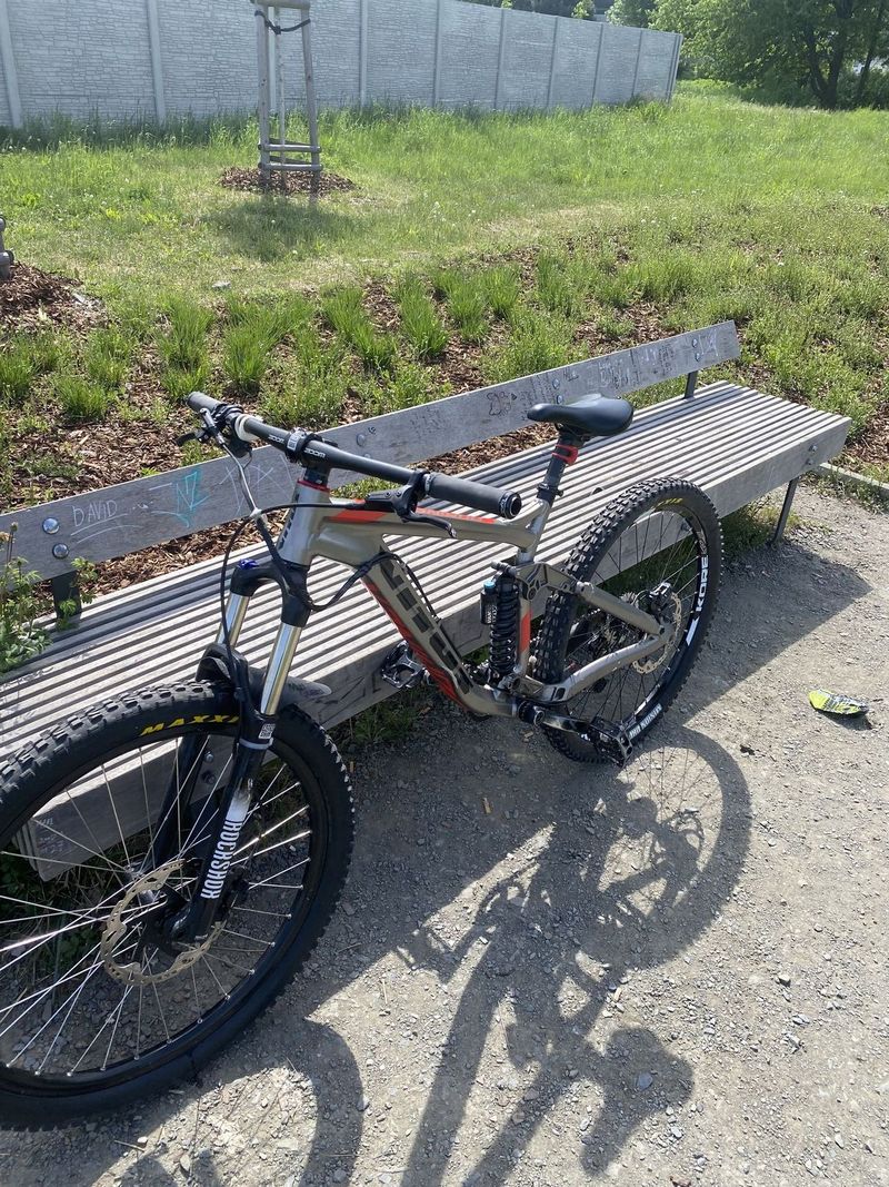 Vitus dominer