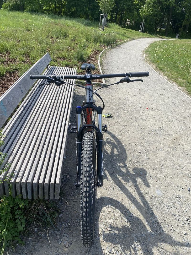 Vitus dominer