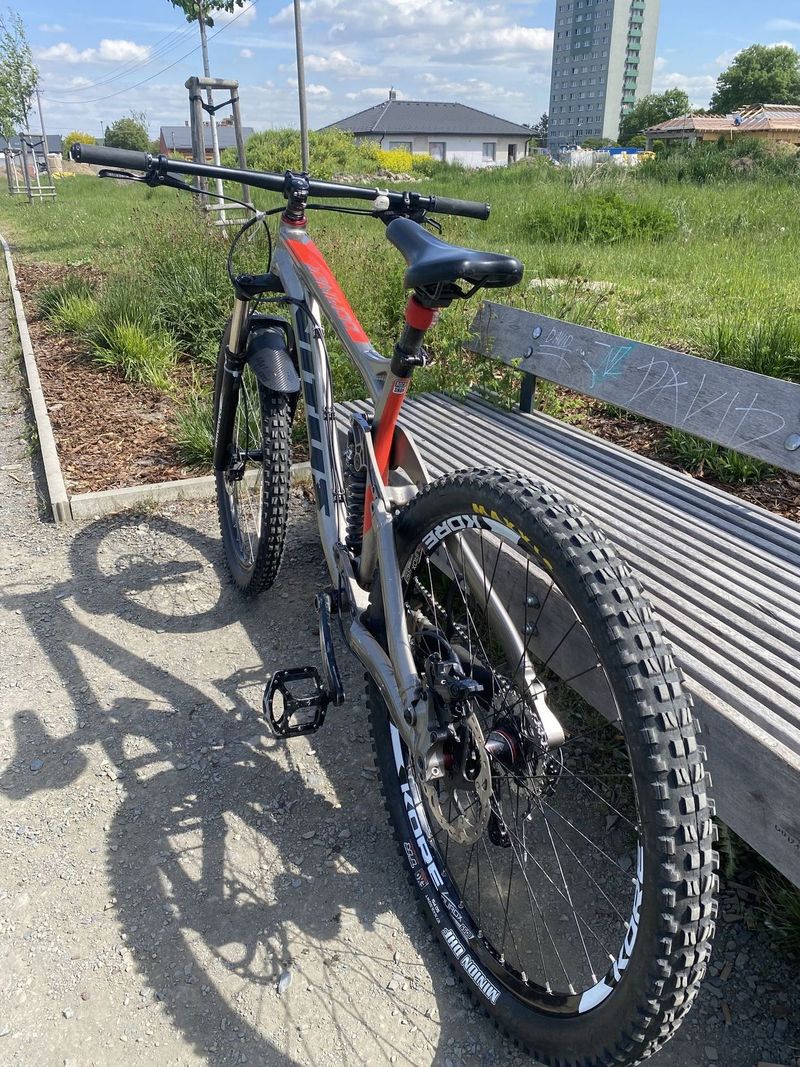 Vitus dominer